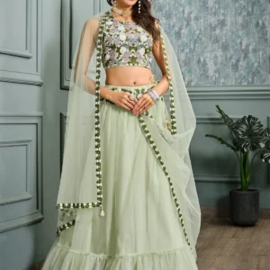 Pista Green Net Heavy Embroidery Lehenga